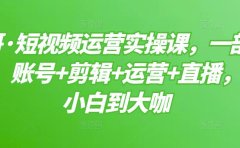 短视频运营实操课，一部手机，账号+剪辑+运营+直播，从小白到大咖