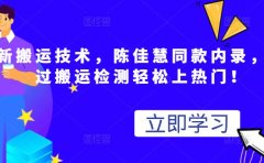 最新搬运技术视频替换，陈佳慧同款内录，轻松过搬运检测轻松上热门！