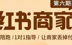 贾真-小红书商家营第6期商家版，21天带货陪跑课，让商家丢掉付流量