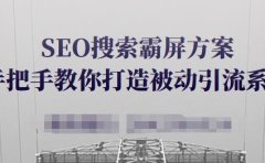 SEO搜索霸屏方案，手把手教你打造被动引流系统【视频课程】