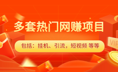 多套vip课程合集，价值千元