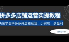 拼多多店铺运营实操教程：快速学会拼多多开店和运营，少踩坑，多盈利