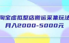 淘宝虚拟整店搬运采集玩法分享课:月入2000-5000元(5节课)