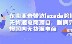 东南亚来赞达lazada跨境无货源电商项目，利润完爆国内无货源电商