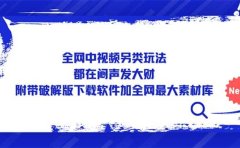全网中视频另类玩法，都在闷声发大财，附带下载软件加全网最大素材库