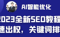 2023最新网站AI智能优化SEO教程,简单快速出权重,AI自动写文章+AI绘画配图