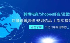 跨境电商/Shopee虾皮/运营实战训练营：店铺设置装修 规划选品 上架实操等等
