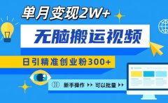 无脑搬运视频号可批量复制，新手即可操作，日引精准创业粉300+ 月变现2W+