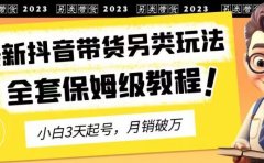 2023年最新抖音带货另类玩法，3天起号，月销破万（保姆级教程）【揭秘】