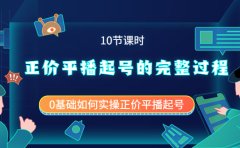 正价平播起号的完整过程：0基础如何实操正价平播起号（10节课时）