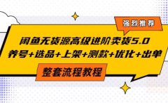 闲鱼无货源高级进阶卖货5.0，养号+选品+上架+测款+优化+出单整套流程教程