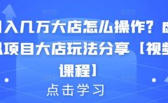 月入几万大店怎么操作？虚拟项目大店玩法分享【视频课程】