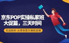 京东POP实操私家班：大促篇，3天时间，实战剖析-从零到百万爆款店铺
