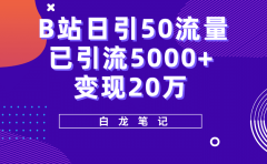 B站日引50+流量，实战已引流5000+变现20万，超级实操课程
