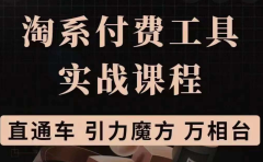 淘系付费工具实战课程【直通车、引力魔方】战略优化，实操演练（价值1299）