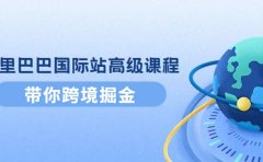 阿里巴巴国际站高级课程：带你跨境掘金，选品+优化+广告+推广