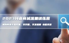 2023抖音商城流量班：利润商品卡流实操，不开播-不发视频-也能卖货(无水印)