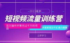 短视频流量训练营：百万操作手单月过千万的项目：抖音变现王中王 能力超强