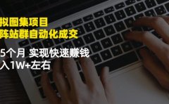 虚拟图集项目:矩阵站群自动化成交,3-5个月实现快速赚钱月入1W+左右