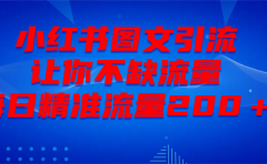 最新！小红书图文引流，全面解析日引300私域流量，是怎样做到的！
