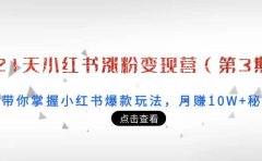 21天小红书涨粉变现营(第3期):带你掌握小红书爆款玩法,月赚10W+秘密