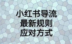 小红书导流最新规则应对方式【揭秘】