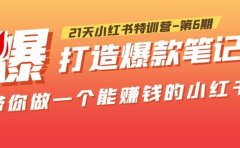 21天小红书特训营-第6期，打造爆款笔记，带你做一个能赚钱的小红书