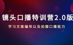 镜头口播特训营2.0版,学习文案编导以及拍摄口播能力(50节课时)