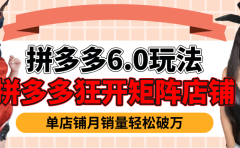 拼多多虚拟商品暴利6.0玩法,轻松实现月入过万
