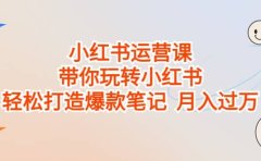 小红书运营课,带你玩转小红书,轻松打造爆款笔记 月入过万