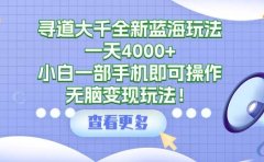 寻道大千全新蓝海玩法,一天4000+,小白一部手机即可操作,无脑变现玩法!