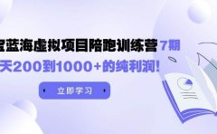 黄岛主《淘宝蓝海虚拟项目陪跑训练营7期》每天200到1000+的纯利润