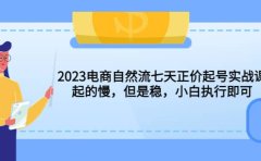 2023电商自然流七天正价起号实战课：起的慢，但是稳，小白执行即可