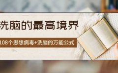 《洗脑的最高境界》人手一本的商业圣经，108个思想病毒+洗脑的万能公式