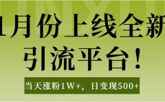 1月上线全新引流平台，当天涨粉1W+，日变现500+工具无脑涨粉，解放双手操作简单