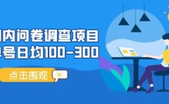 国内问卷调查项目,操作简单,时间灵活