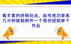 毒文案的终极玩法,起号成功率高几分钟就能制作一个原创视频单个作品