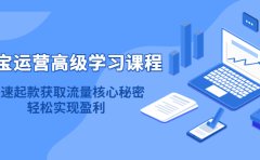 淘宝运营高级学习课程：快速获取流量核心秘密，轻松实现盈利！
