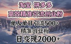 淘宝拼多多高效精准引流创业粉，单人单日引流500＋创业粉，日变现2000＋