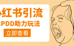 利用小红书卖拼多多助力