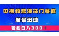 中视频蓝海冷门赛道,韩国视频奇闻解说,起号迅速,日入300+