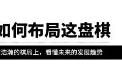 某公众号付费文章《如何布局这盘棋》在浩瀚的棋局上,看懂未来的发展趋势