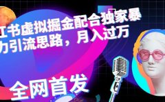 小红书虚拟掘金配合独家首发暴力引流思路,月入过万【揭秘】