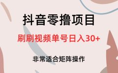 抖音零撸项目,刷刷视频单号日入30+