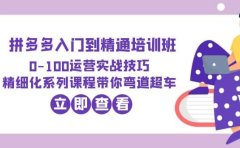 2023拼多多入门到精通培训班:0-100运营实战技巧 精细化系列课带你弯道超车