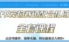 实测日入800的项目小红书宠物赛道配合私域转化玩法,适合新手小白操作,简单无脑【揭秘】