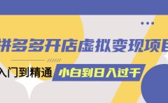 拼多多开店虚拟变现项目:入门到精通 从小白到日入1000(完整版)6月13更新