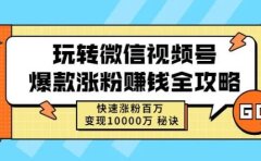 玩转微信视频号爆款涨粉赚钱全攻略,快速涨粉百万变现万元秘诀