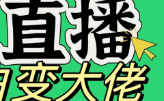 淘宝无人直播，蓝海项目，躺赚，纯挂机！日变现1000+