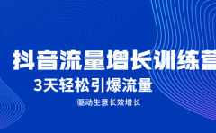 抖音流量增长训练营，3天轻松引爆流量，驱动生意长效增长